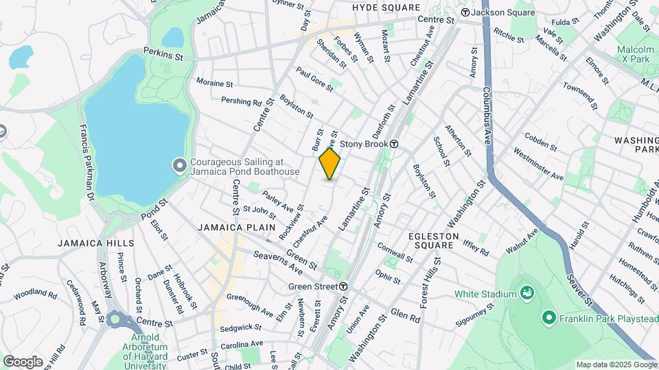 221 Chestnut Ave Mapa y Detalles de la Ubicación