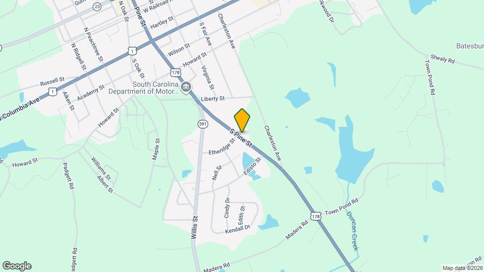 304 S Pine St Mapa y Detalles de la Ubicación