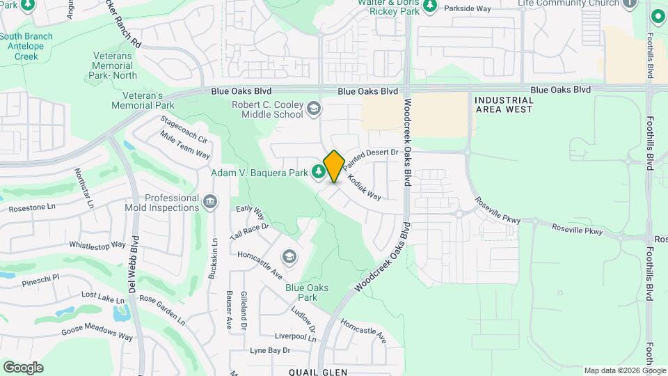 300 Harvest Sky Ct Map and Location Details