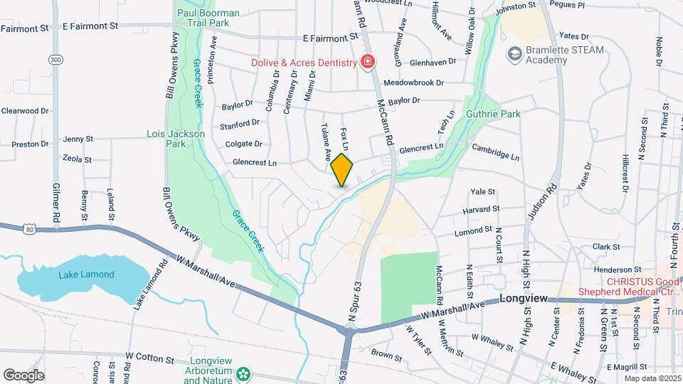 1005 Towne Lake Dr Map and Location Details