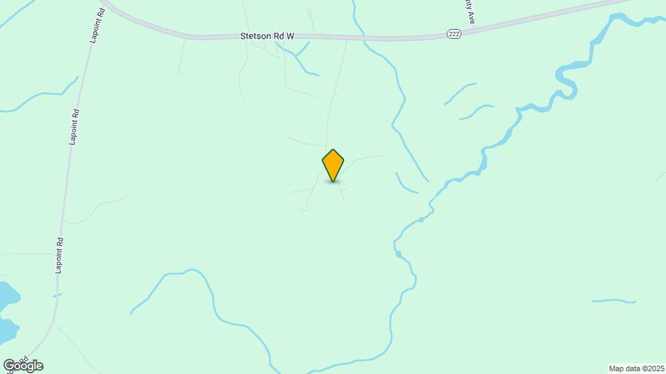 21 White Birch Ln Mapa y Detalles de la Ubicación