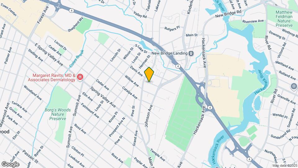 17 Zabriskie St Map and Location Details