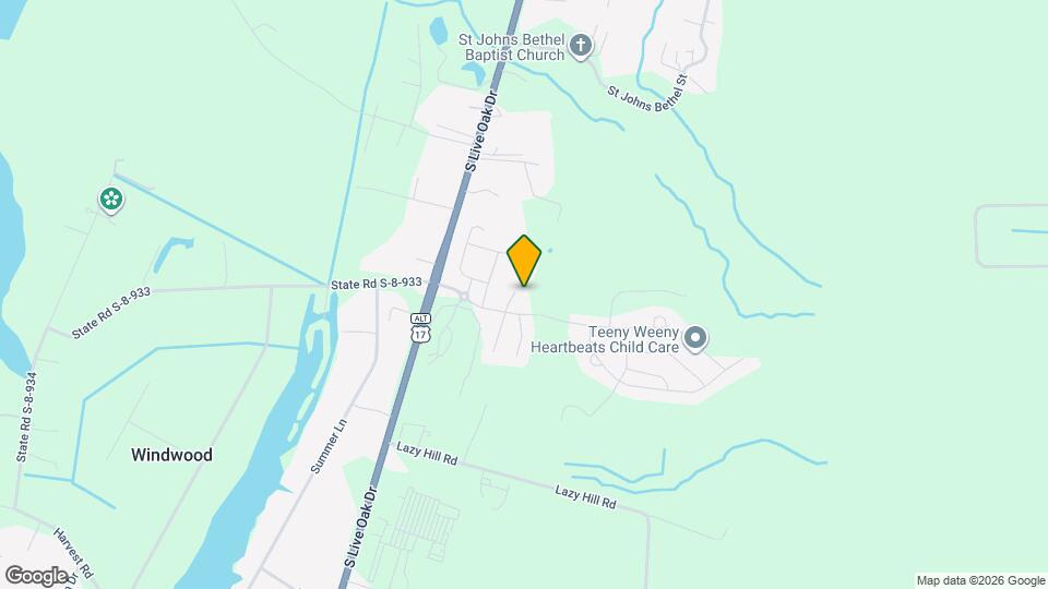 206 Sabal Palmetto Ct Mapa y Detalles de la Ubicación