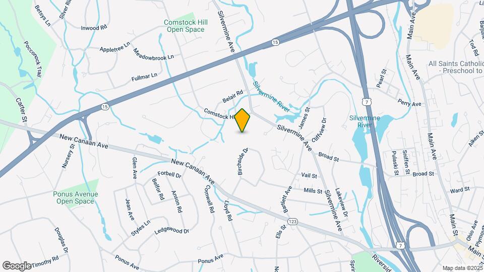 24 Birchside Dr Map and Location Details