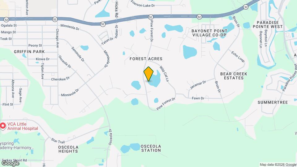 11416 Pine Forest Dr Map and Location Details