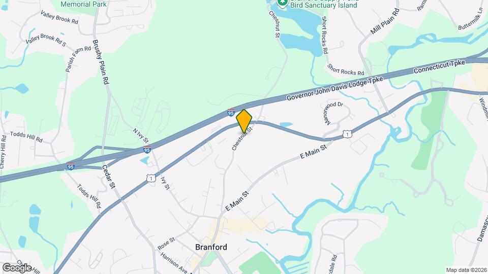 107 Chestnut St Mapa y Detalles de la Ubicación