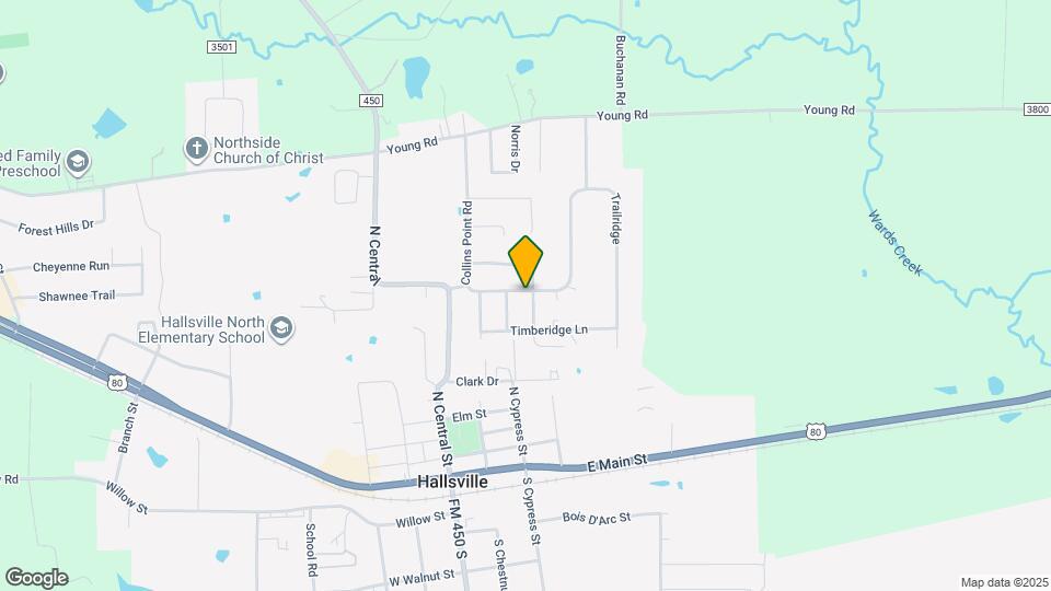 423 Woodridge Dr Rentals in Hallsville, TX