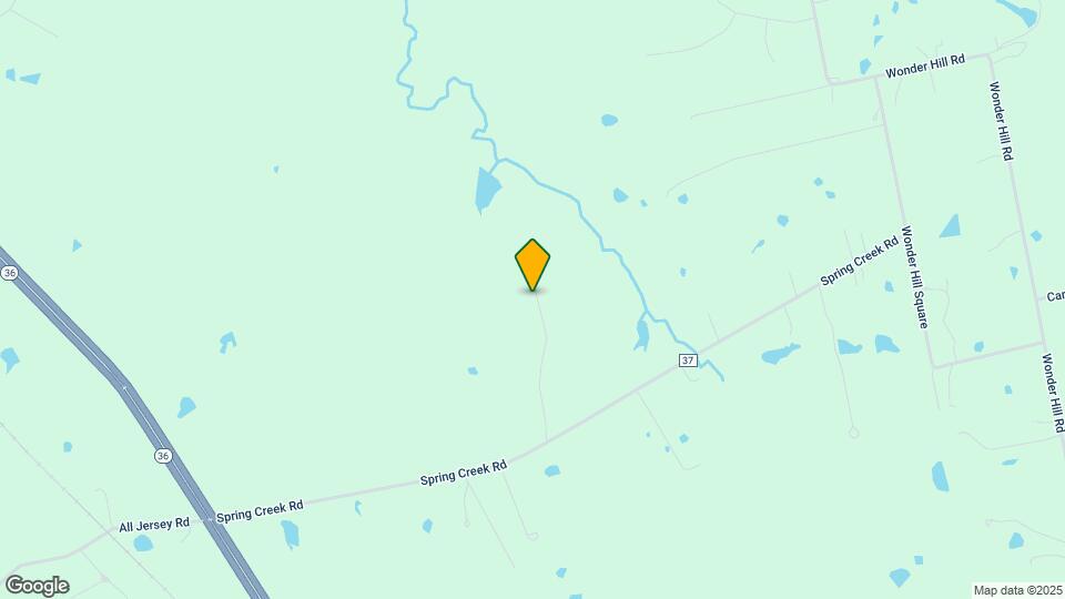 955 Spring Creek Rd Map and Location Details