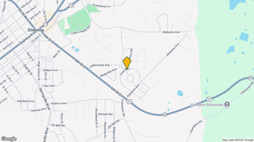 24 Pine Cir Mapa y Detalles de la Ubicación