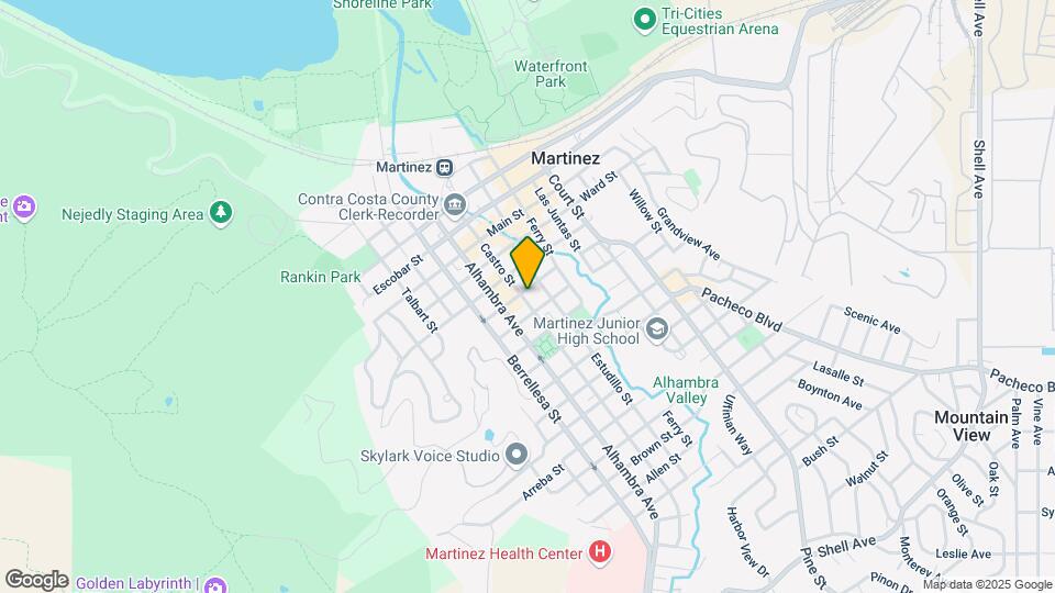 1017 Castro St Mapa y Detalles de la Ubicación