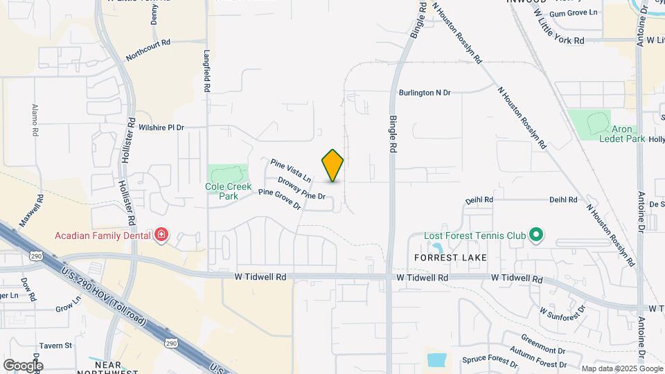 6911 Pine Vista Ln Map and Location Details