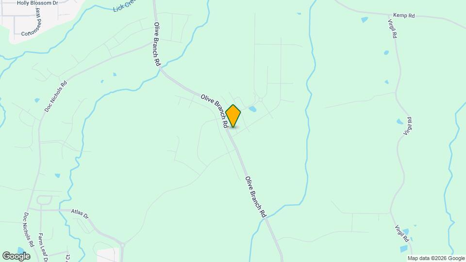 1003 Blissful Waters St Map and Location Details