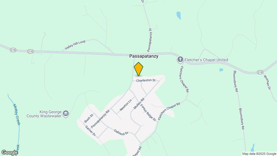 1317 Charleston St Map and Location Details