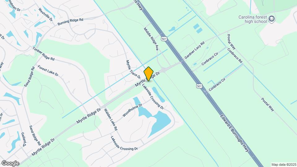 113 ARBOR RIDGE CIR Mapa y Detalles de la Ubicación