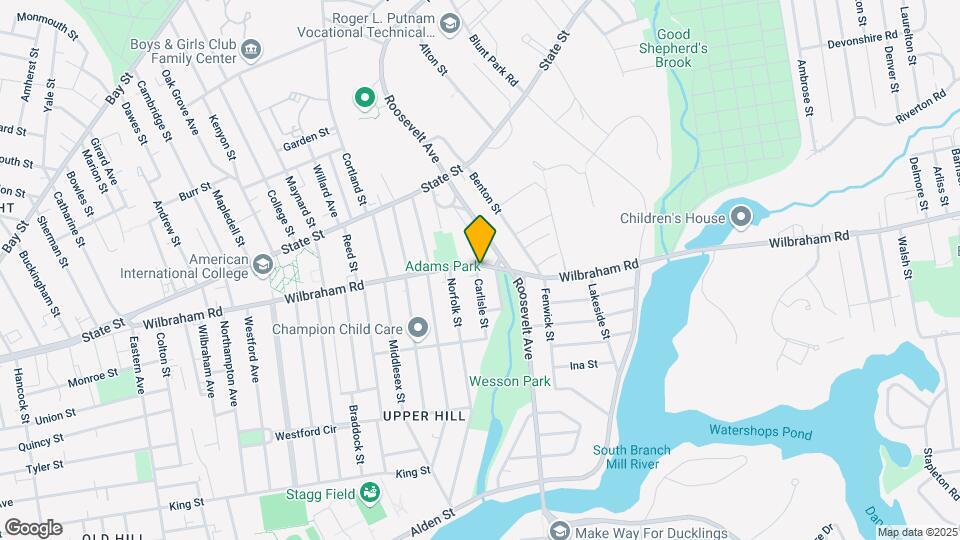 409-411 Wilbraham Rd Mapa y Detalles de la Ubicación