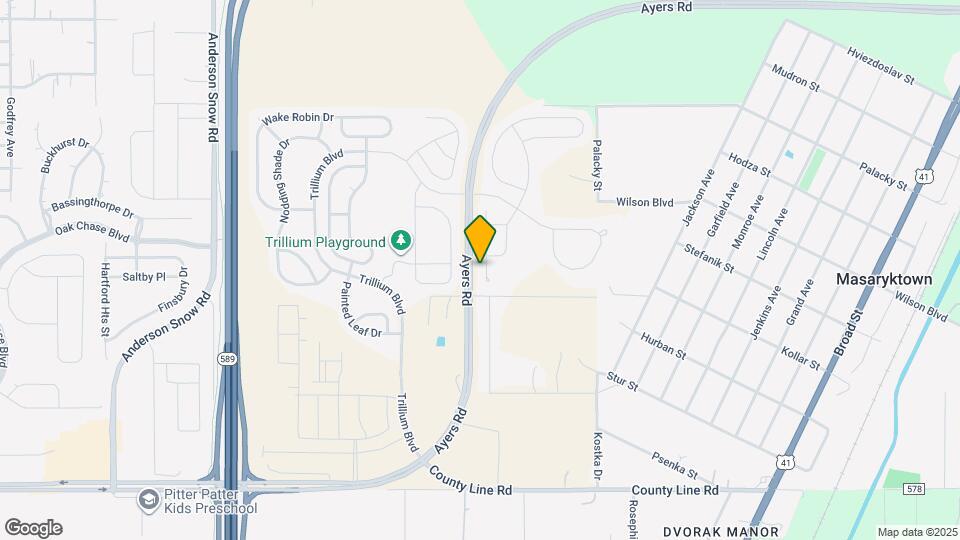 687 Petal Mist Ln Mapa y Detalles de la Ubicación