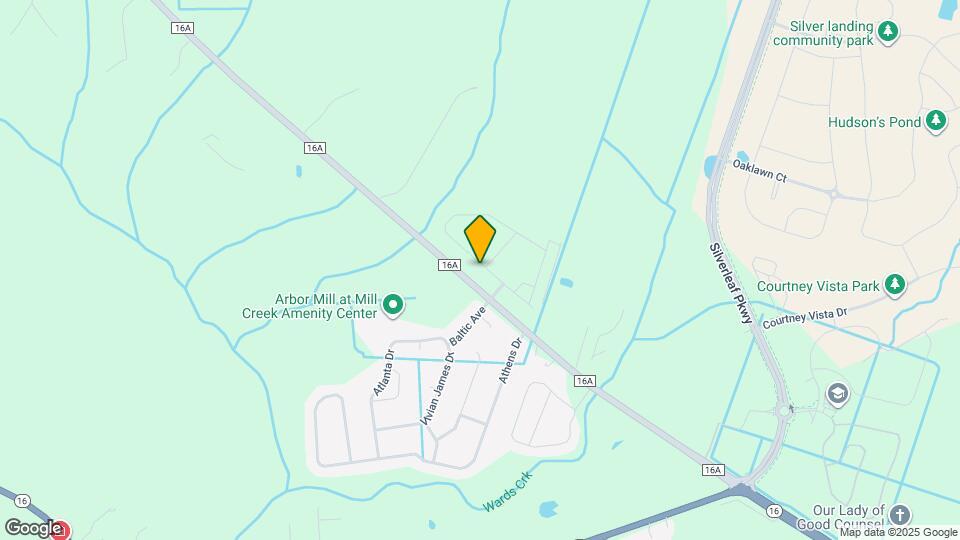 83 Banyan Frst Dr Mapa y Detalles de la Ubicación