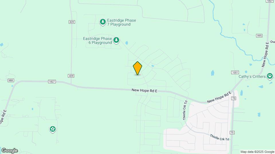 920 Rosemary Hl Dr Map and Location Details