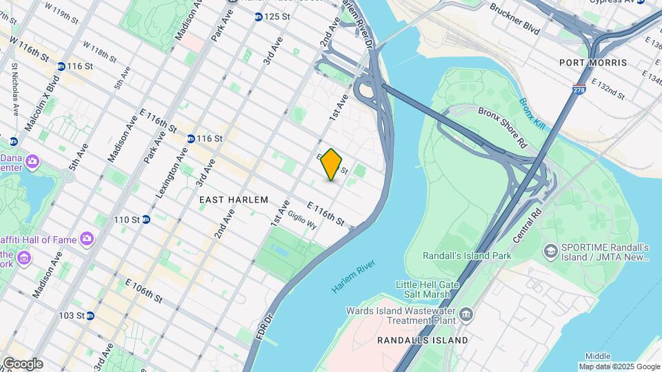 446 E 118th St Map and Location Details