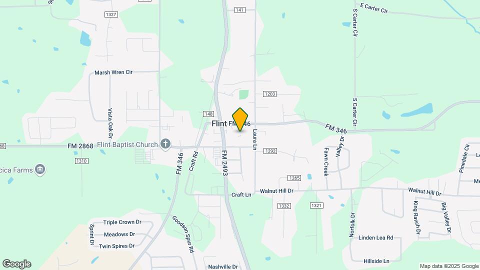 10730 County Rd 169 Map and Location Details