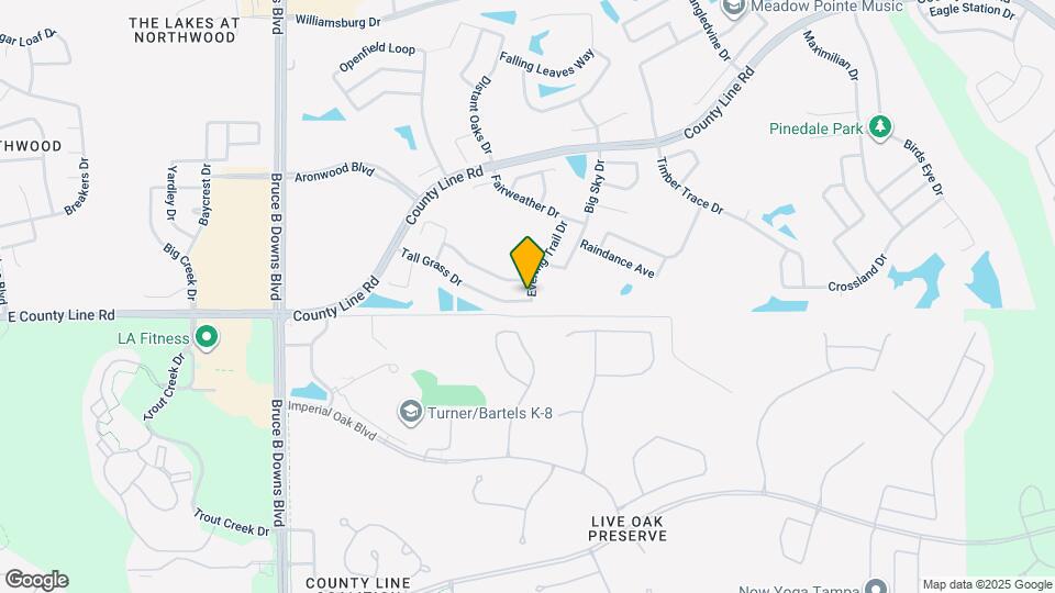 28547 Tall Grass Dr Mapa y Detalles de la Ubicación