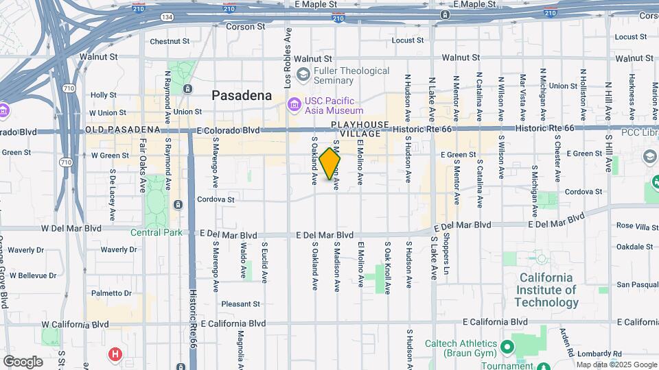 161 S Madison Ave Mapa y Detalles de la Ubicación