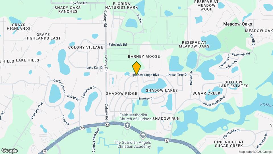 12226 Shadow Ridge Blvd Map and Location Details