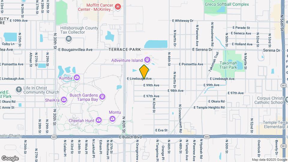 4115 E Linebaugh Ave. Map and Location Details