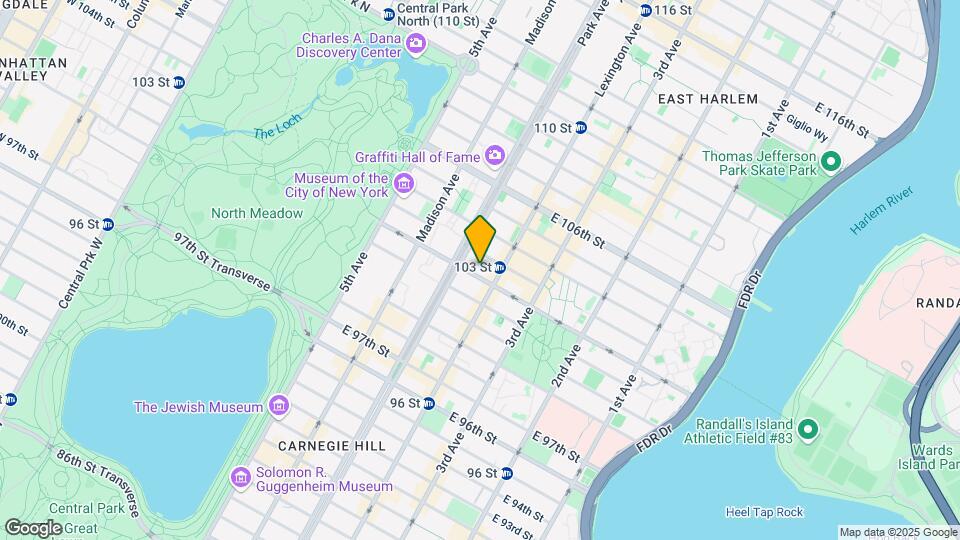 117 E 102nd St Map and Location Details