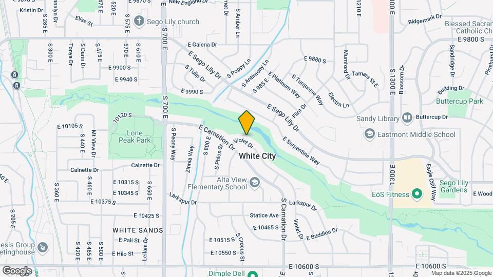 933 E Violet Cir Map and Location Details