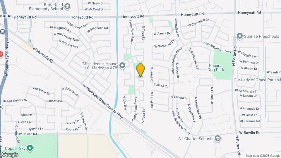 42782 W Camino de Janos Map and Location Details