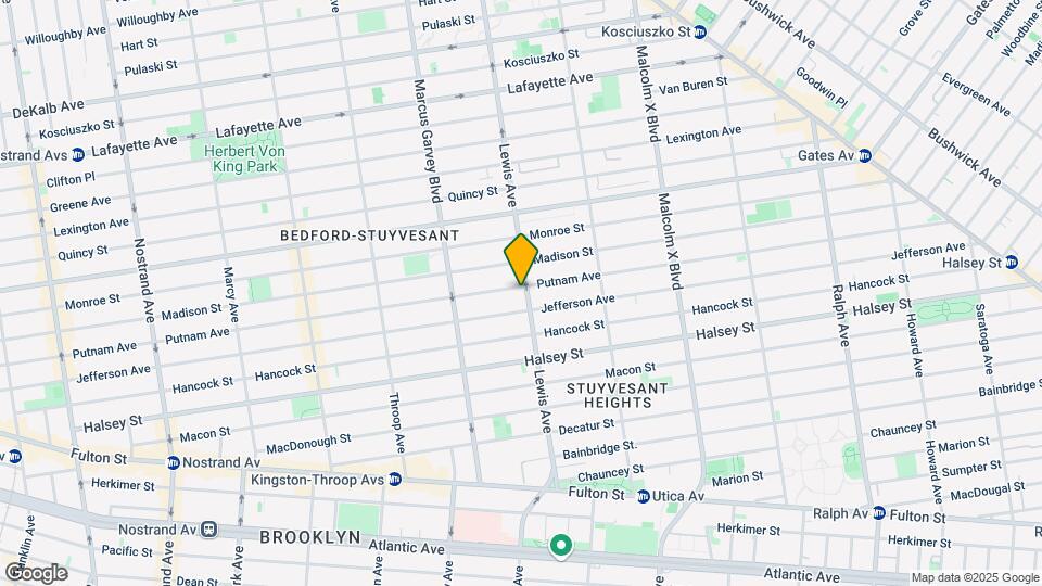 300 Lewis Ave Mapa y Detalles de la Ubicación