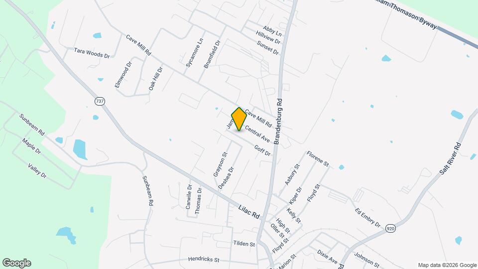 203 Goff Dr Mapa y Detalles de la Ubicación