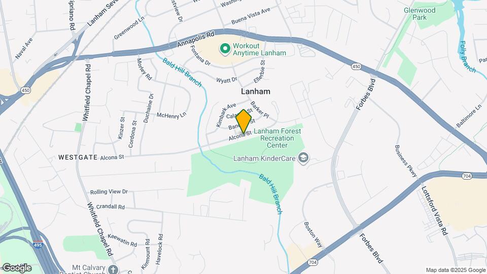 9323 Alcona St Map and Location Details