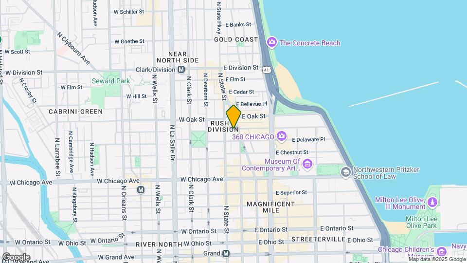11 E Walton St, Unit 4101 Map and Location Details