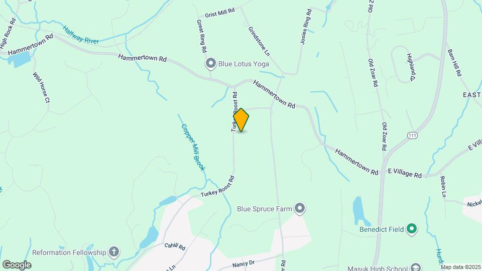 294 Turkey Roost Rd Map and Location Details