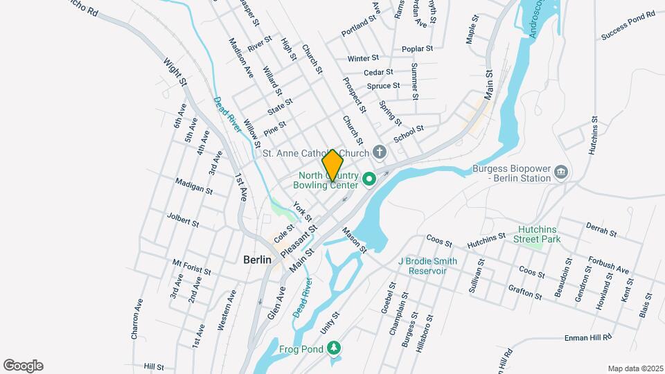 163 Oak St Map and Location Details