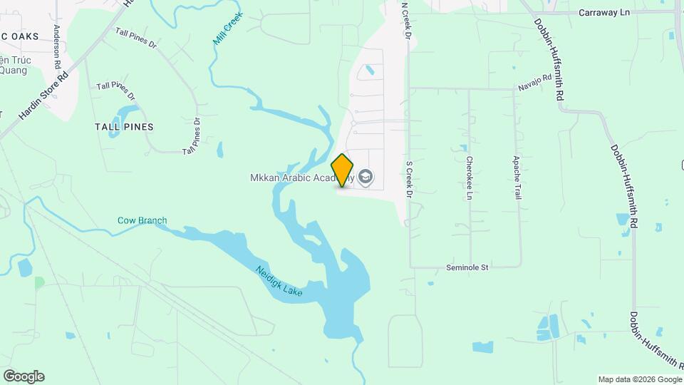 9985 Mountain Lion Ln Map and Location Details