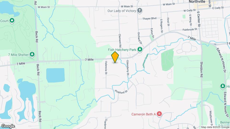 46105 W Seven Mile Rd Map and Location Details