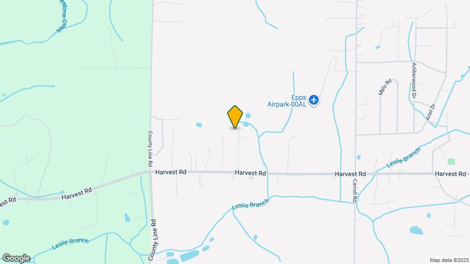 150 Jesse Layne Dr Mapa y Detalles de la Ubicación