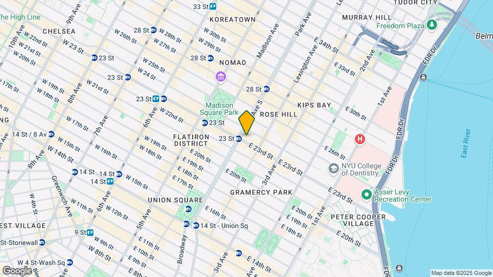 303-311 Park Ave S Mapa y Detalles de la Ubicación