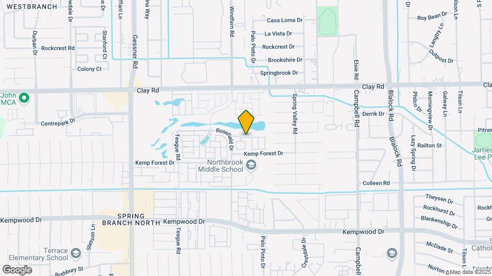 9812 Magnolia Village Ln Mapa y Detalles de la Ubicación