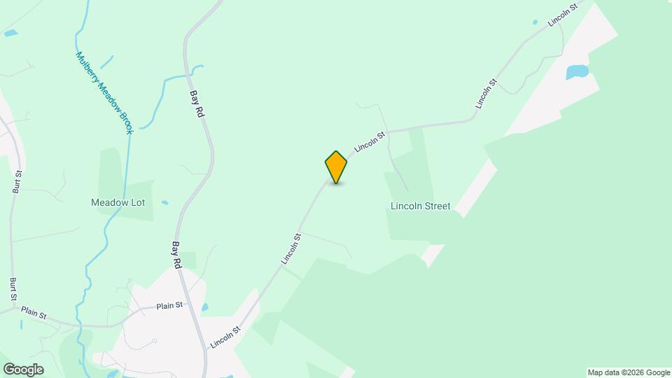 59 Lincoln St Map and Location Details