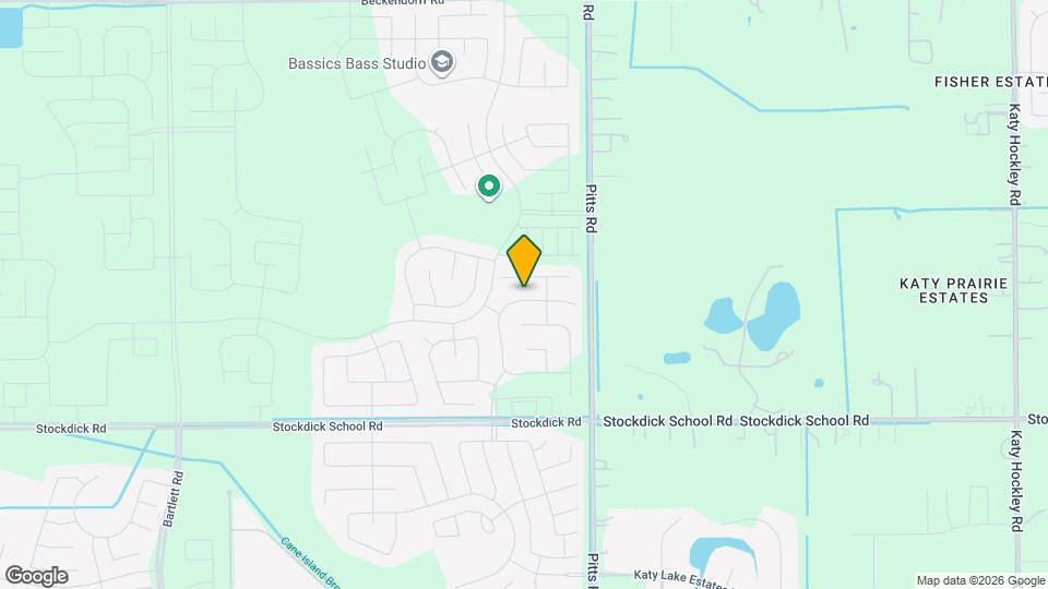 27122 River Birch Ridge Dr Mapa y Detalles de la Ubicación