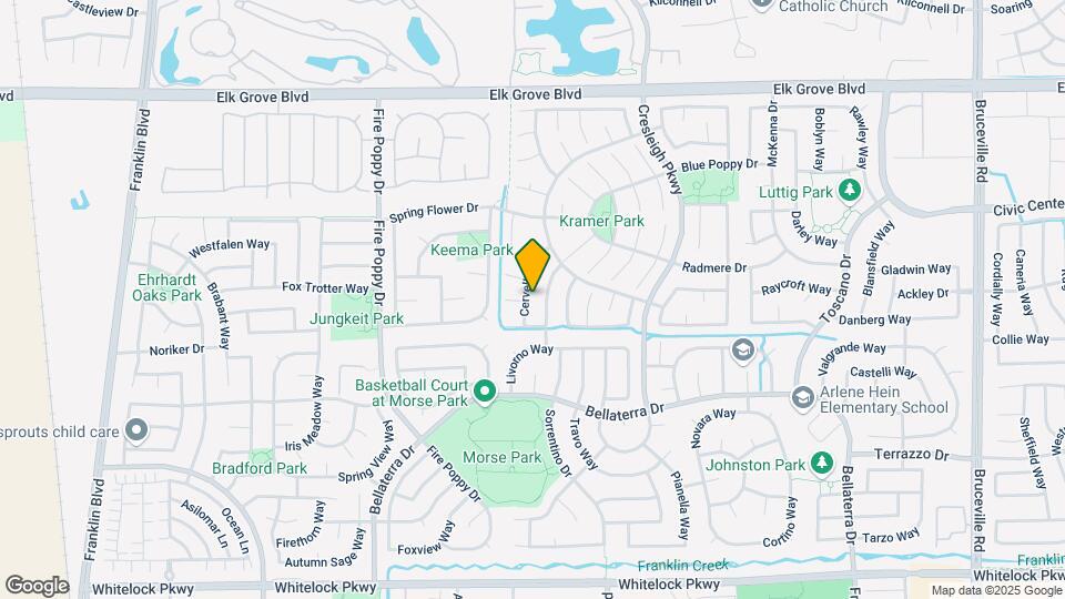 9771 Cervelli Way Map and Location Details