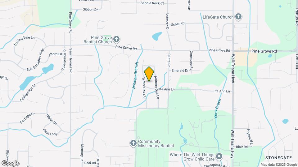 387 Ita Ann Ln Mapa y Detalles de la Ubicación