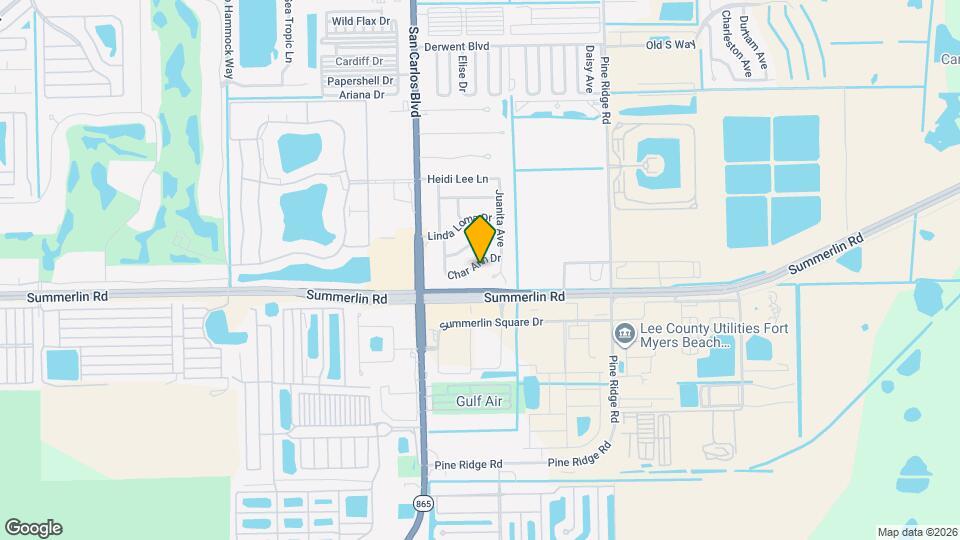 11421 Char Ann Dr Mapa y Detalles de la Ubicación