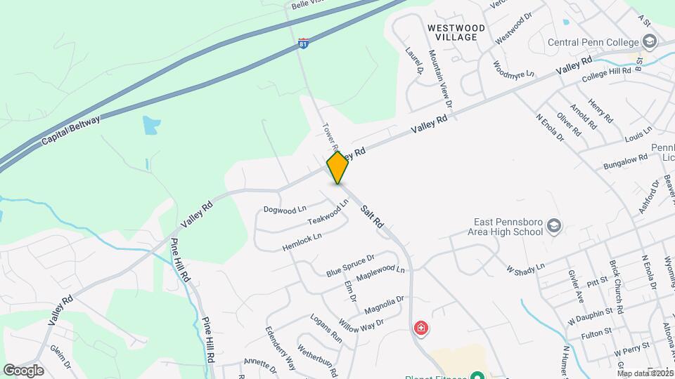 321 Salt Rd Rentals in Enola, PA