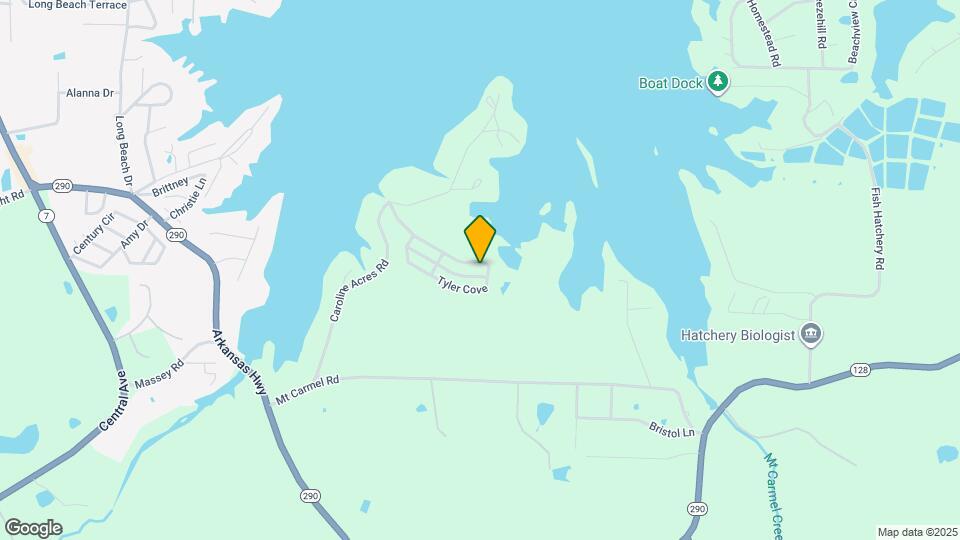 164 Tyler Cv Mapa y Detalles de la Ubicación