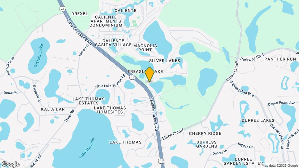 6210 Land O Lakes Blvd Mapa y Detalles de la Ubicación